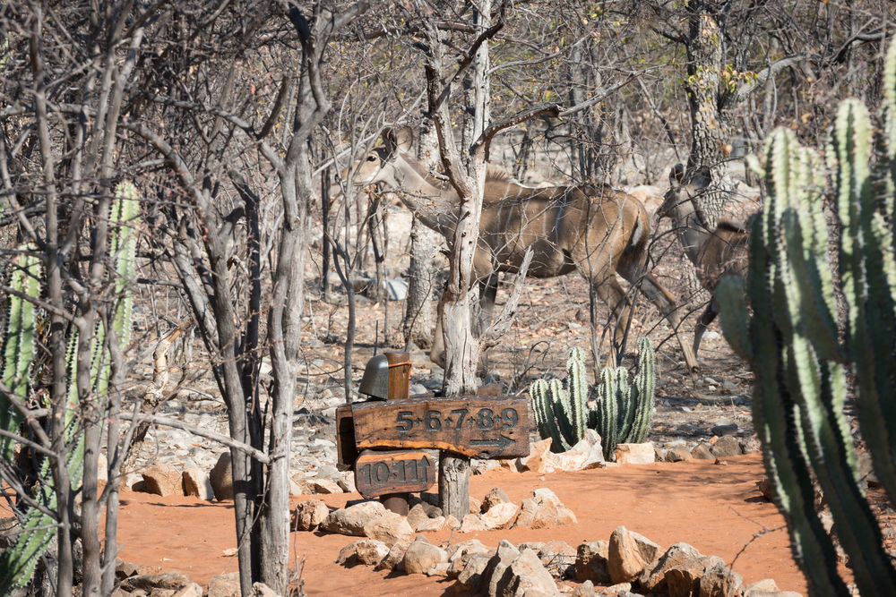 Ongava Tented Camp - All-Inclusive Okaukuejo Bagian luar foto