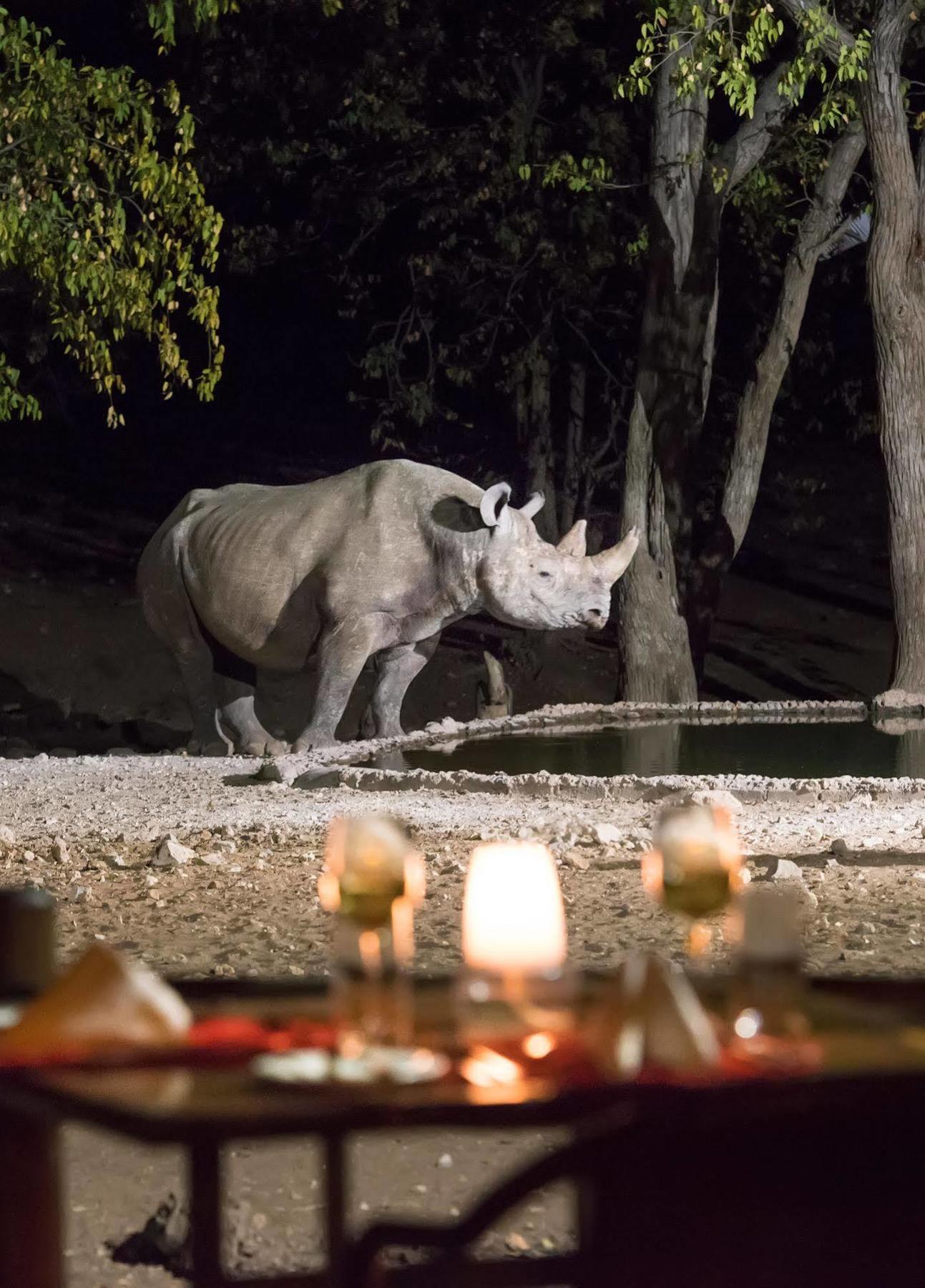 Ongava Tented Camp - All-Inclusive Okaukuejo Bagian luar foto