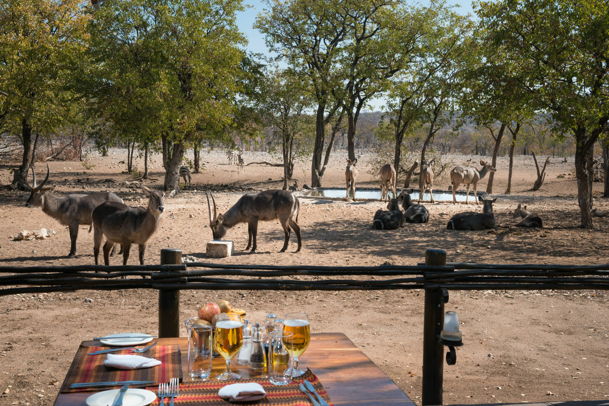 Ongava Tented Camp - All-Inclusive Okaukuejo Bagian luar foto